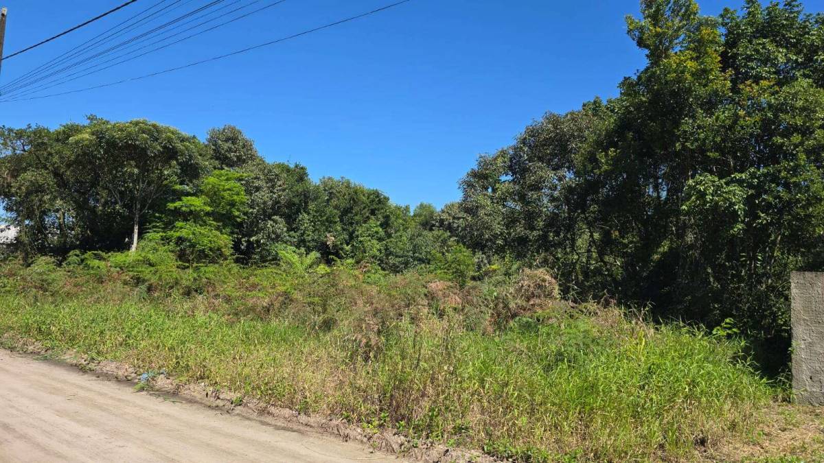 Terreno à venda em Guaratuba, Nereidas, 360m² - Mauro Alexandre Imóveis