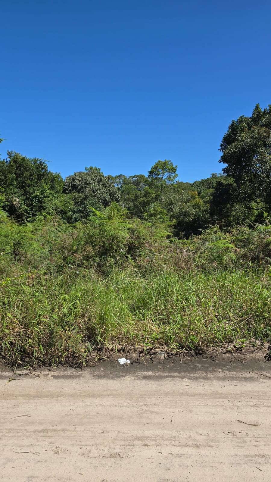  - Terreno à venda em Guaratuba, Nereidas, 360m²